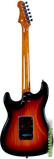 Электрогитара JET JS-400 SB - фото2