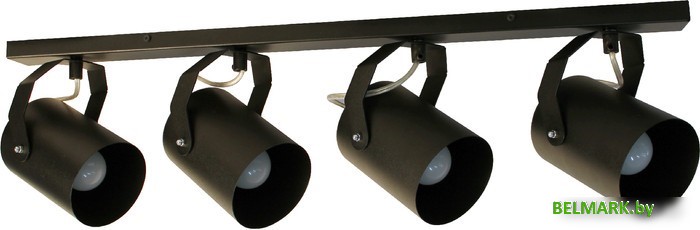 Спот Элетех Трек НПБ 01-4х60-514 1005404531 (черный матовый) - фото