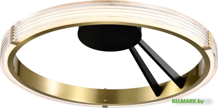 Припотолочная люстра Lightstar Rotonda 736041 - фото