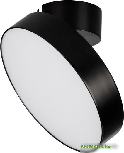 Спот Arlight SP-RONDO-FLAP-R210-20W Warm3000 028165 - фото