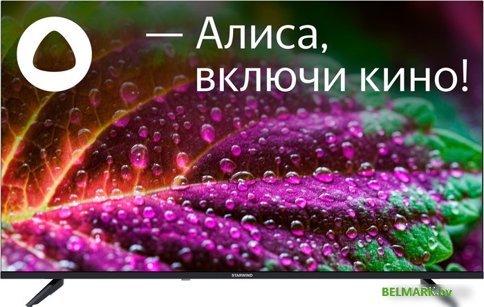 Телевизор StarWind SW-LED43UG403 - фото
