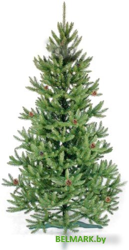 Ель GrandSiti Сверк с шишками натуральными 2.2 м 103-114 - фото