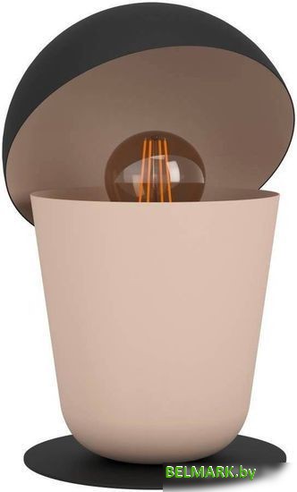 Настольная лампа Eglo Batabano 900396 - фото