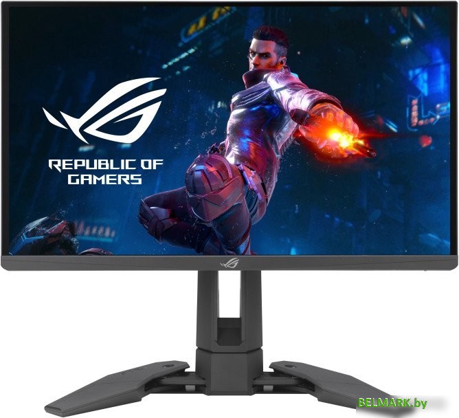 Игровой монитор ASUS ROG Swift Pro PG248QP - фото