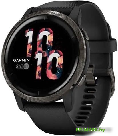 Умные часы Garmin Venu 2 (сланцевая нержавеющая сталь/черный) - фото