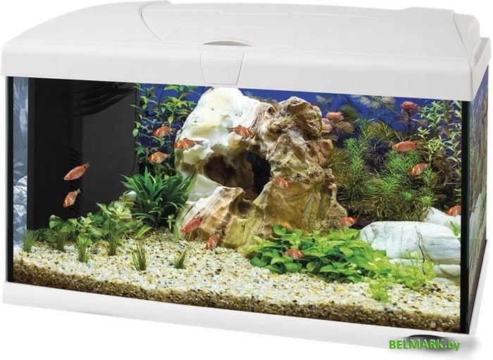 Аквариумный набор Ferplast Capri 50 Led 60 л (белый) - фото
