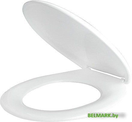 Сиденье для унитаза IDDIS ID 01 061.1 - фото