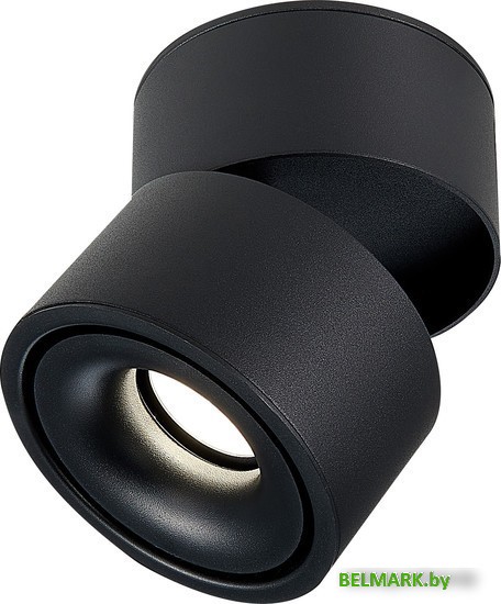 Припотолочная люстра ST Luce ST652 ST652.442.12 - фото