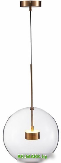 Подвесная люстра ST Luce Bopone SL1133.223.01 - фото2