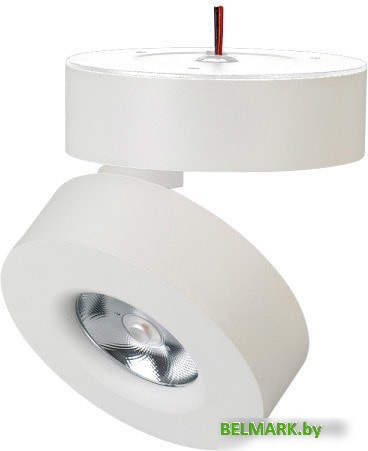 Спот Arlight SP-MONA-SURFACE-R100-12W Warm3000 025440(1) - фото