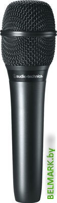 Микрофон Audio-Technica AT2010 - фото