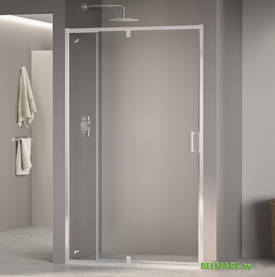 Душевая дверь RGW PA-008 350800890-11 (хром/прозрачное стекло) - фото