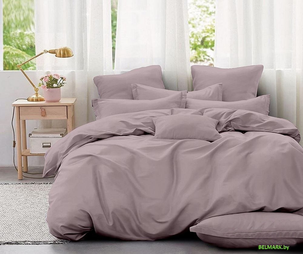 Постельное белье Реноме Евро Оливковая коллекция на резинке 180x200 Серебр.-роз. 15-2706 (поплин) - фото