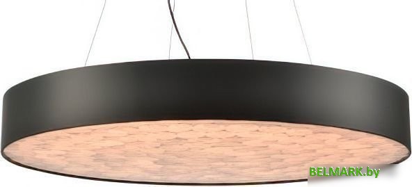 Подвесная люстра Wertmark Edera WE510.02.723 - фото