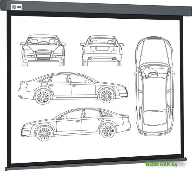 Проекционный экран CACTUS Wallscreen 168x299 CS-PSW-168X299-SG - фото