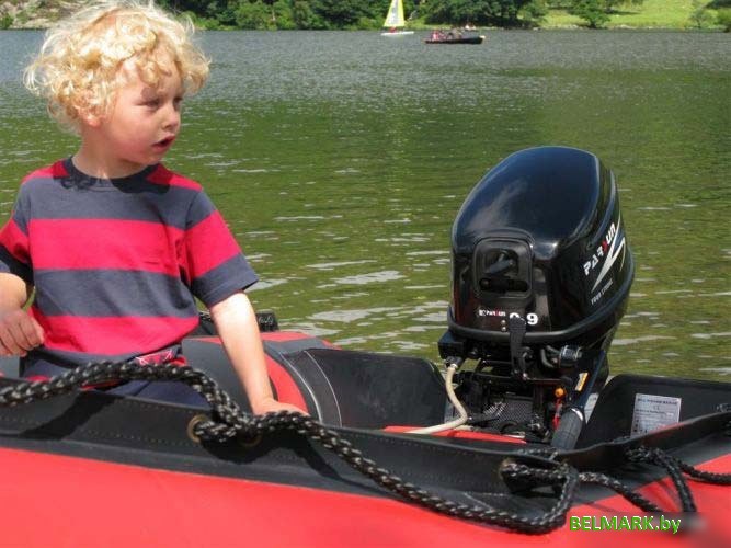 Лодочный мотор Parsun T9.8 BMS - фото2