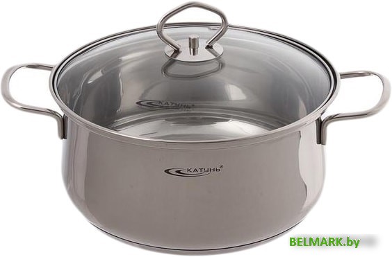 Кастрюля Катунь Лира КТ-CP-0042 - фото