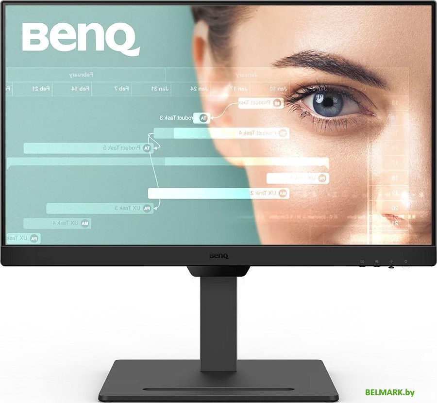 Монитор BenQ Eye-Care GW2490T - фото