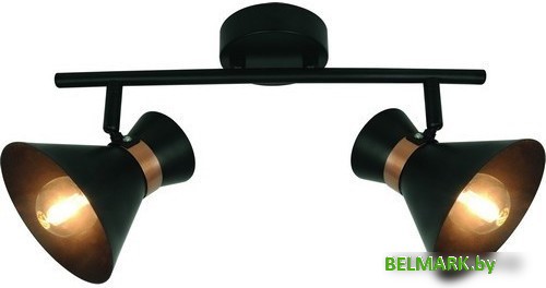 Точечный светильник Arte Lamp Baltimore A1406AP-2BK - фото