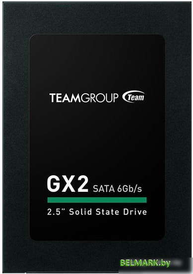 SSD Team GX2 512GB T253X2512G0C101 - фото