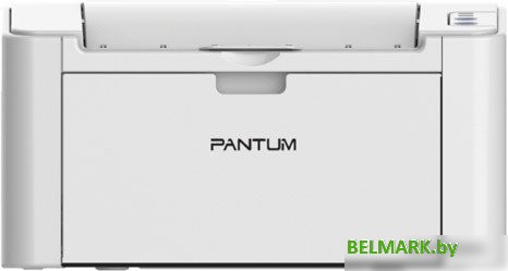 Принтер Pantum P2200 - фото