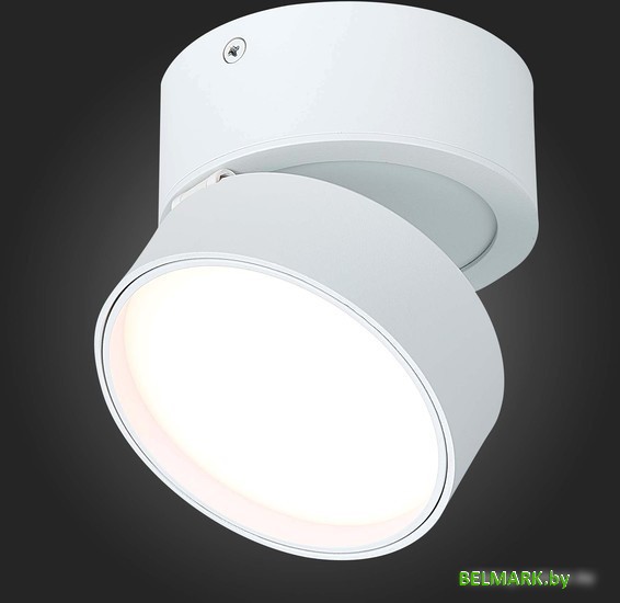 Припотолочная люстра ST Luce ST651.532.14 - фото2