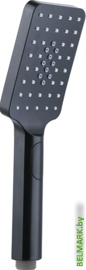 Душевая лейка Deante Alpinia Nero NGA N51S - фото