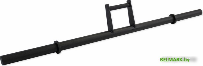 Гриф для штанги Rebel Farmers Walk R-FWB-A50 - фото