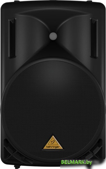 Концертная акустика BEHRINGER EUROLIVE B215D - фото