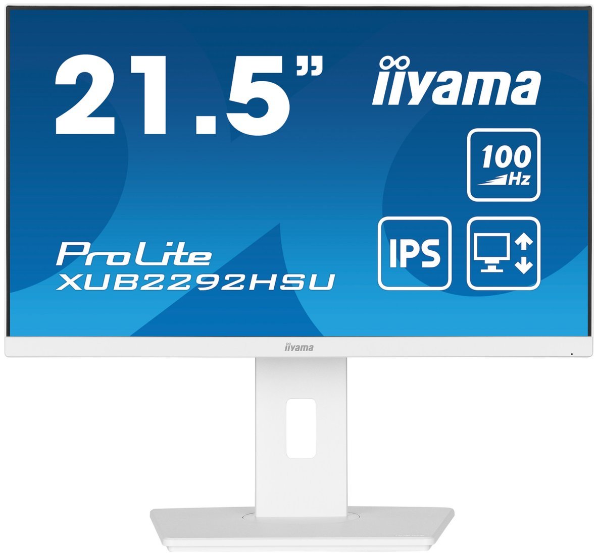 Монитор Iiyama ProLite XUB2292HSU-W6 - фото