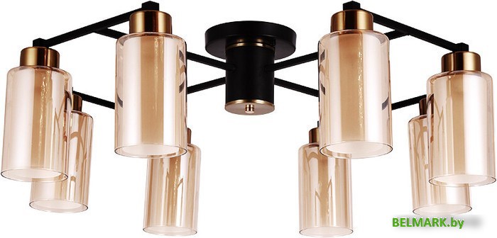 Люстра средней высоты Arte Lamp Leo A7027PL-8BK - фото