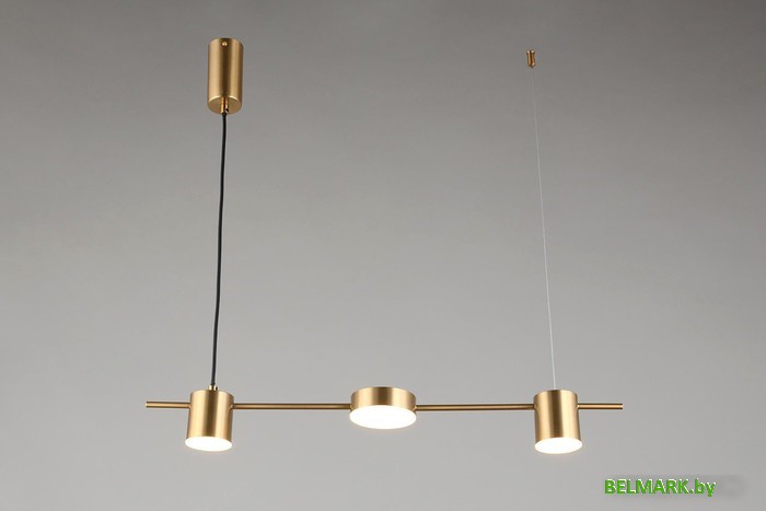 Люстра средней высоты Aployt Frania APL.017.13.18 - фото