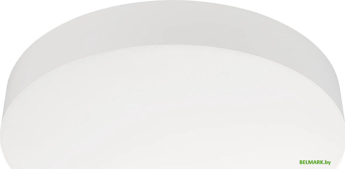 Светодиодная панель Arlight IM-FLOWER-EMERGENCY-3H-R410-32W Day4000-MIX (WH, 110 deg, 230V) 042570 - фото