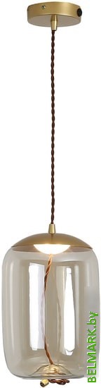 Подвесная люстра Lussole Loft Acquario LSP-8355 - фото