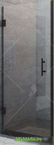 Душевая дверь RGW HO-011B 70 (черный/прозрачное стекло) - фото