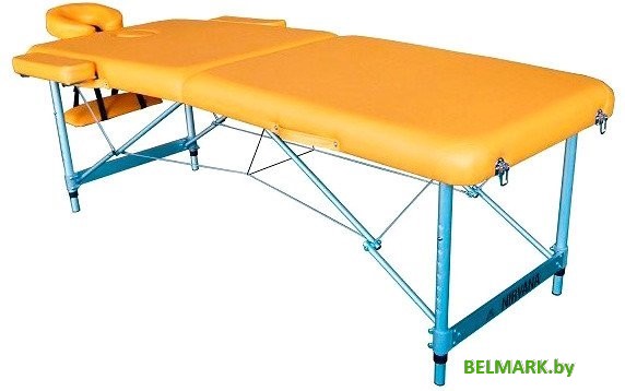 Массажный стол DFC Nirvana Elegant Lexe TS2010-M (горчичный) - фото