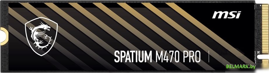 SSD MSI Spatium M470 Pro 2TB S78-440Q990-P83 - фото