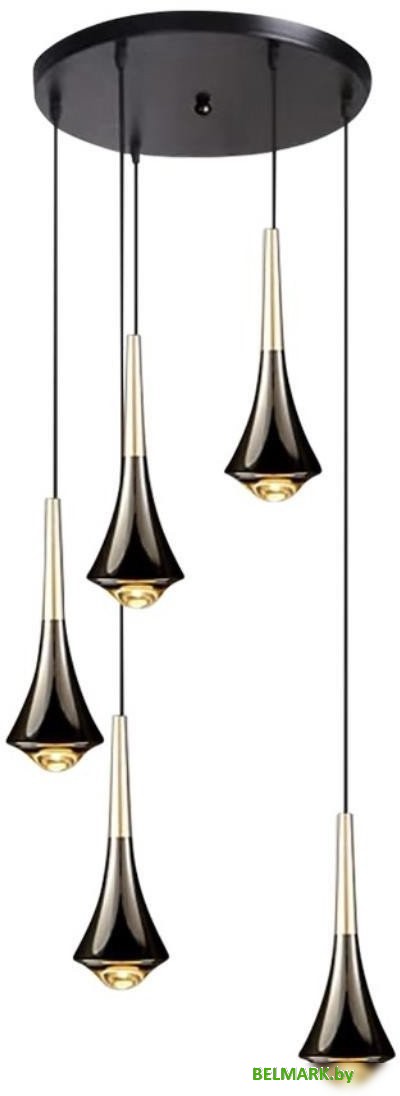 Подвесная люстра Aployt APL.784.06.05 - фото