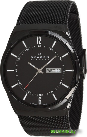 Наручные часы Skagen SKW6006 - фото