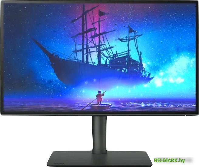 Монитор BenQ DesignVue PD2506Q - фото