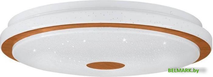 Светильник-тарелка Eglo Lanciano 1 900598 - фото