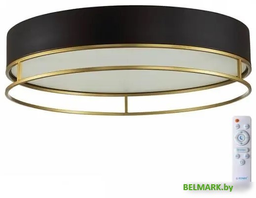 Припотолочная люстра Sonex Lofty 7723/100L - фото