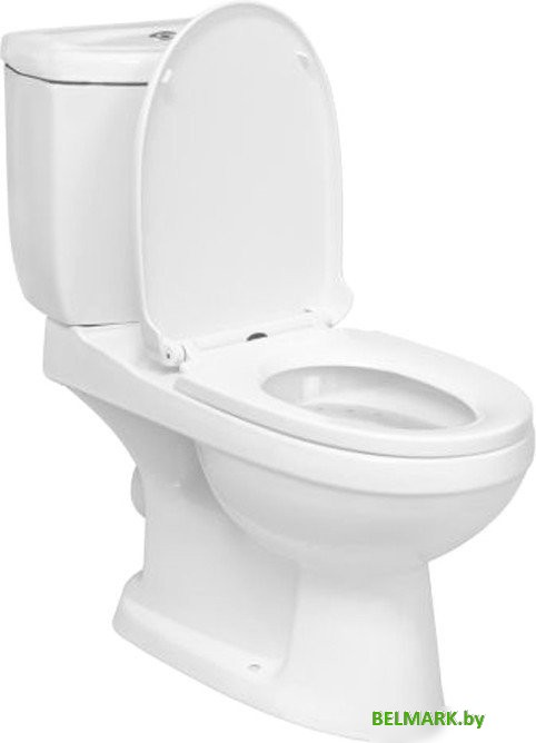 Унитаз напольный AV Engineering AVFTNR2620AB - фото2