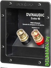 Акустика Dynaudio Evoke 10 (светлый лес) - фото2