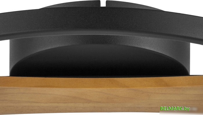 Припотолочная люстра Lightstar Lodi 723027 - фото2