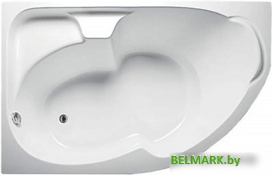 Ванна 1Марка Diana 170x105 L (с каркасом и экраном) - фото