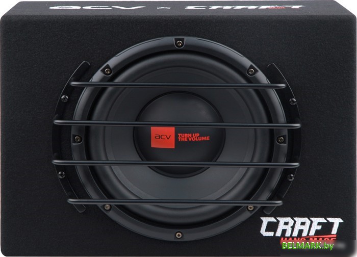 Корпусной активный сабвуфер ACV Craft B10A - фото2
