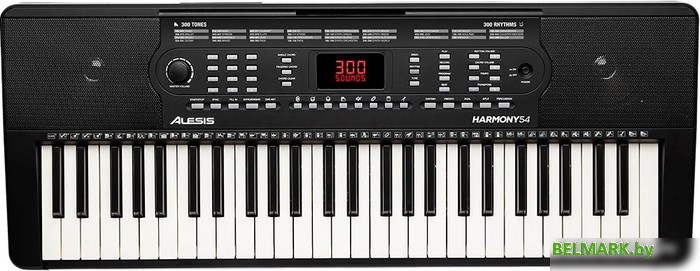 Синтезатор Alesis Harmony 54 - фото