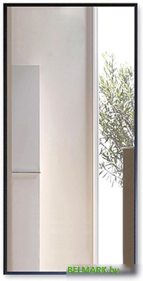 Интерьерные зеркала Алмаз-Люкс М-420 100х50 - фото