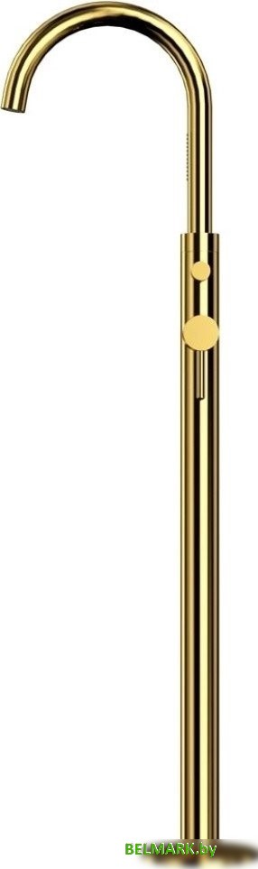 Смеситель Whitecross Y Y1233GL (золото) - фото2